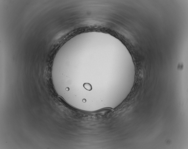 X0000090910869200708201739