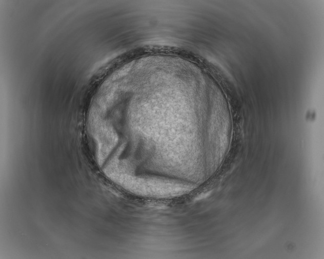 X0000090910870200708201739