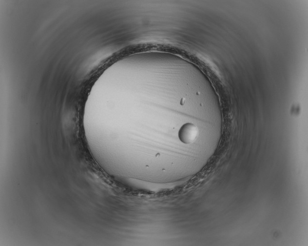 X0000090910872200708201739