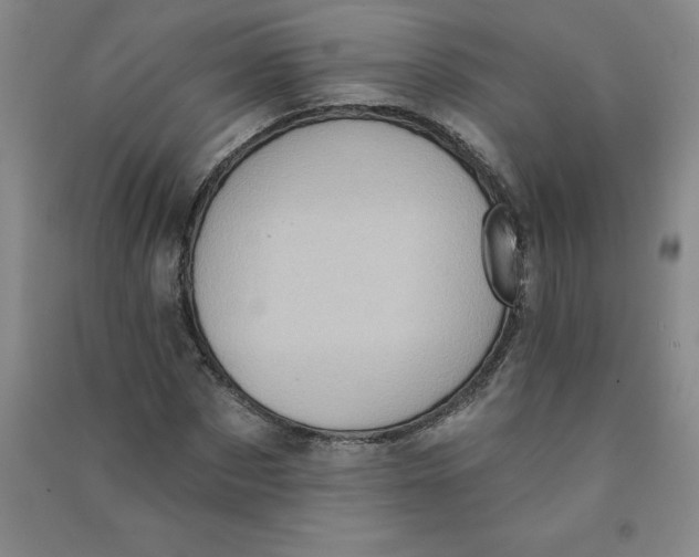 X0000090910873200708201739