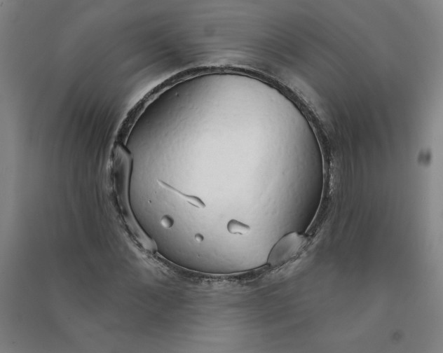 X0000090910876200708201739