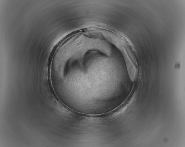 X0000090910877200708201739