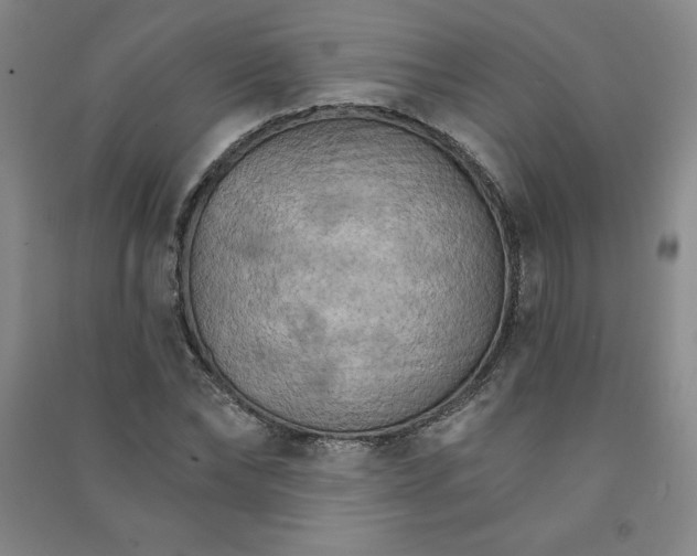 X0000090910878200708201739