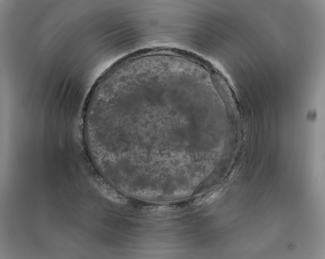 X0000090910879200708201739