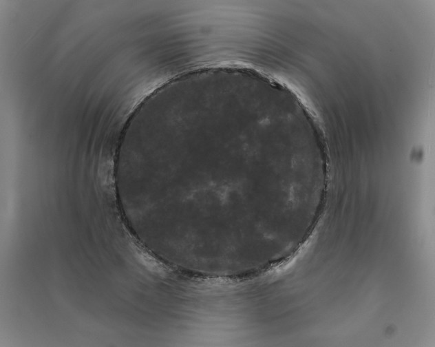 X0000090910881200708201739