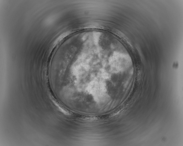 X0000090910882200708201739