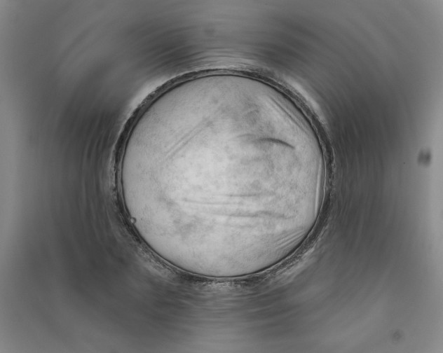 X0000090910883200708201739