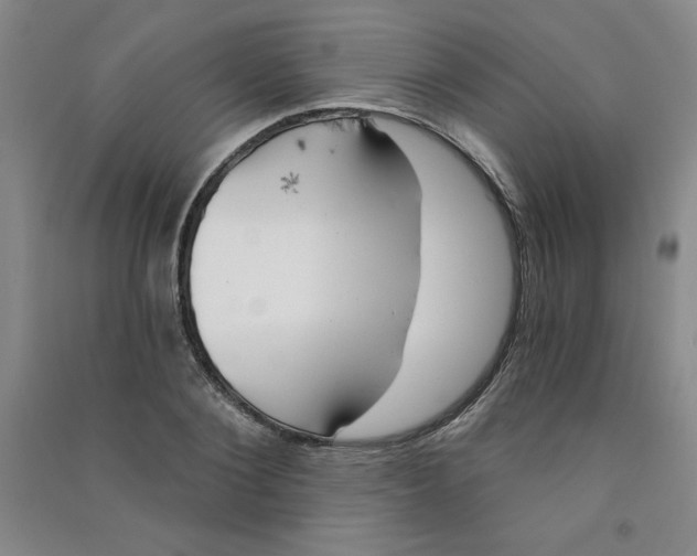 X0000090910884200708201739