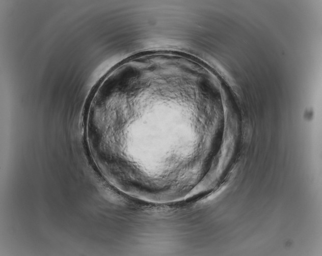 X0000090910885200708201739