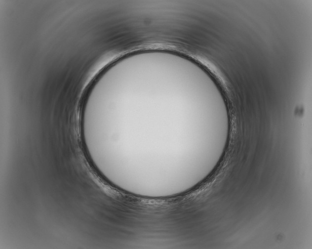 X0000090910886200708201739