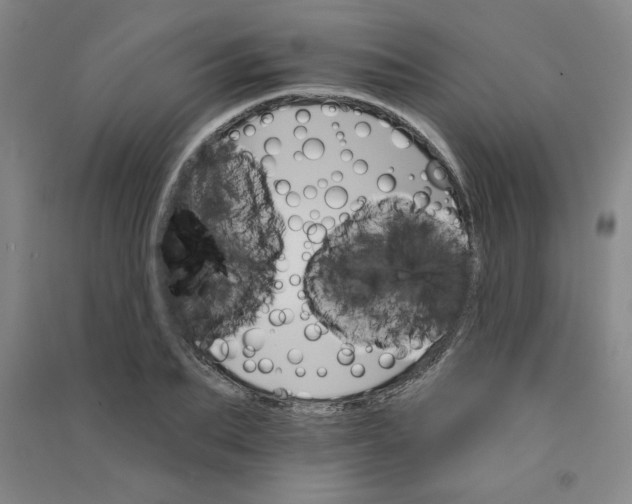 X0000090910887200708201739