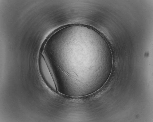 X0000090910888200708201738