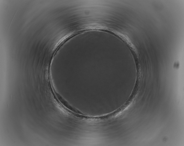 X0000090910889200708201738