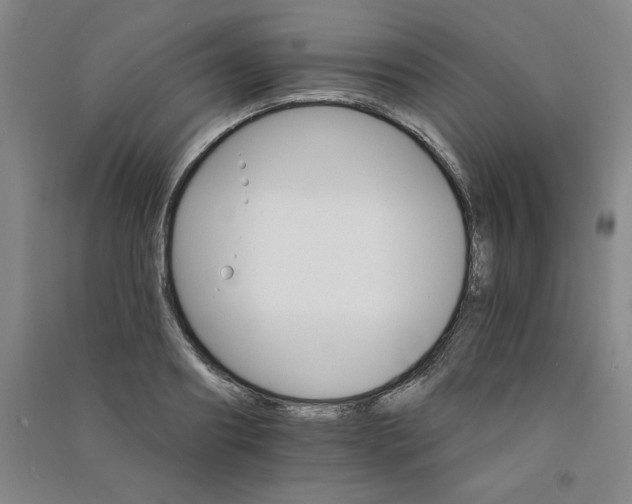 X0000090910890200708201738