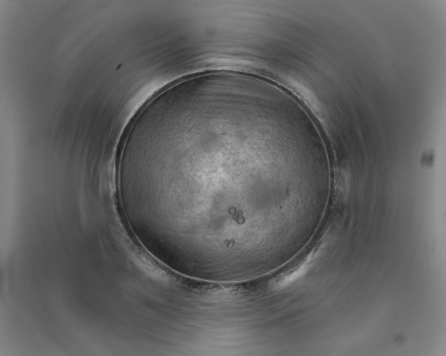 X0000090910891200708201738