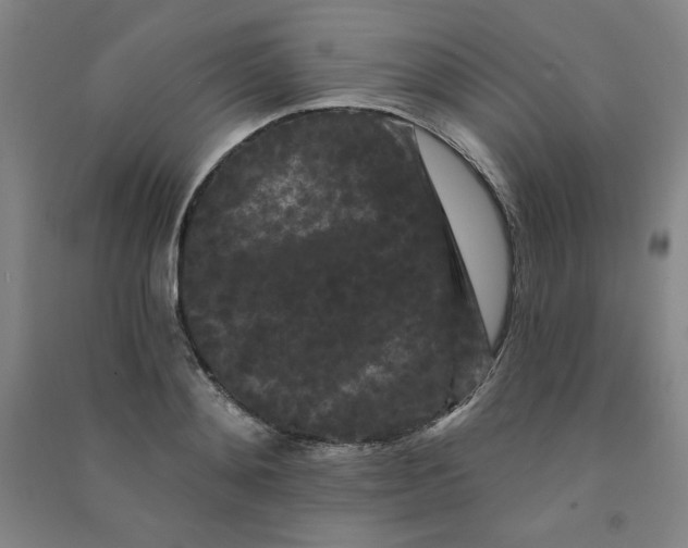 X0000090910892200708201738