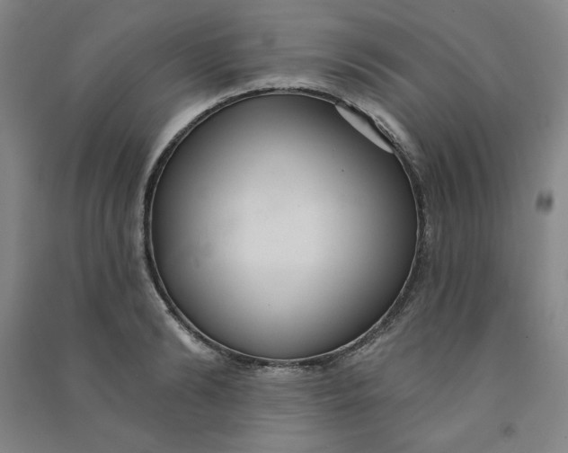 X0000090910894200708201738