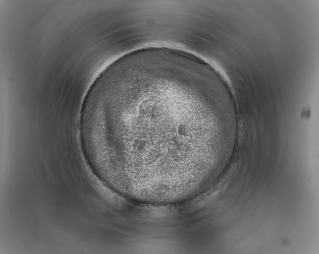 X0000090910895200708201738