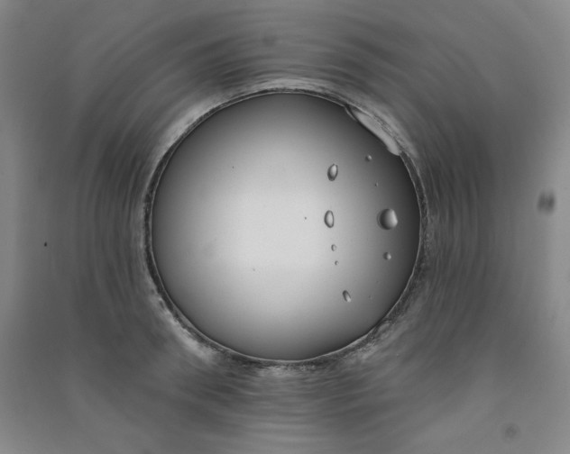 X0000090910898200708201738