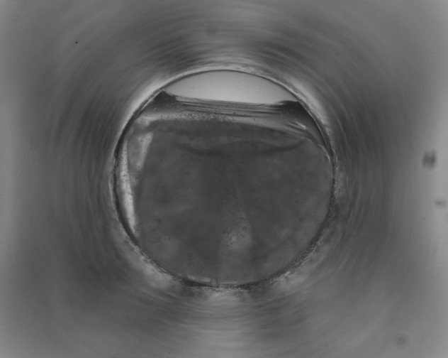 X0000090910899200708201738