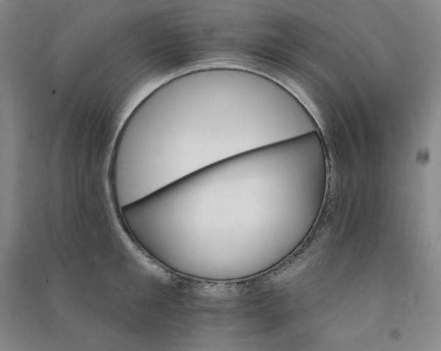 X0000090910901200708201738