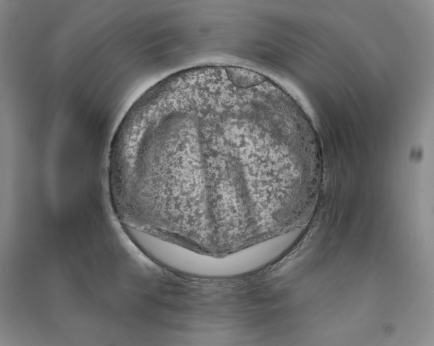 X0000090910903200708201738