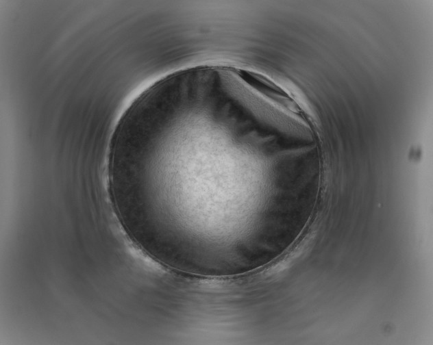 X0000090910904200708201738