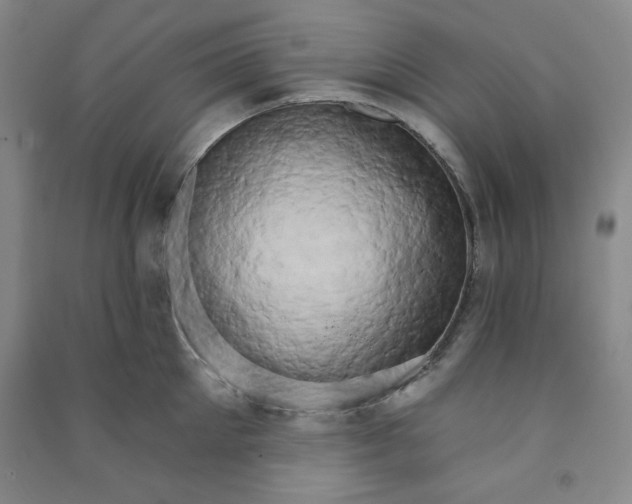 X0000090910905200708201738