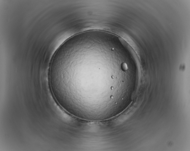 X0000090910906200708201738