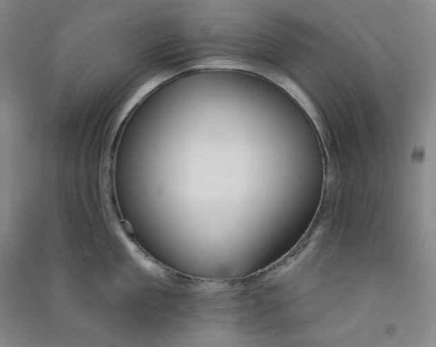 X0000090910909200708201738