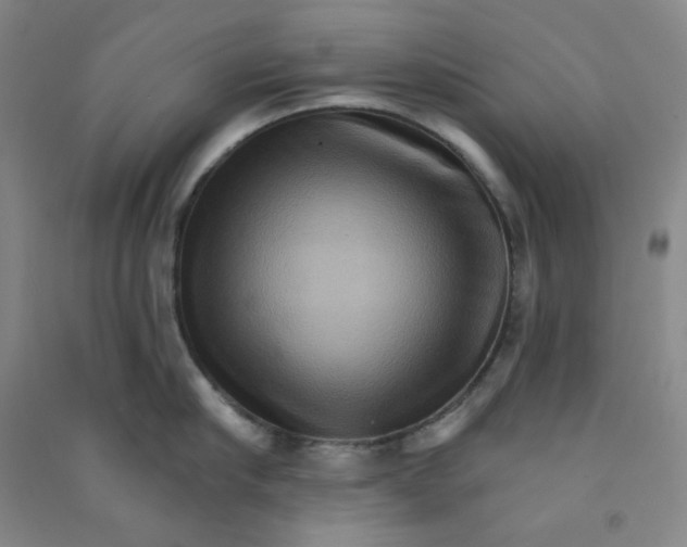 X0000090910910200708201738