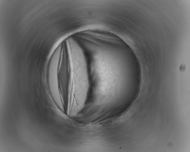 X0000090910912200708201738