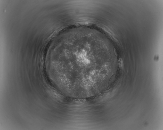 X0000090910915200708201738