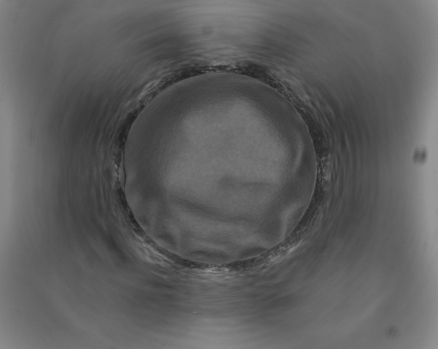 X0000090910916200708201738