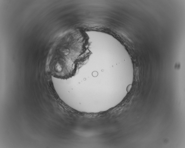 X0000090910917200708201738