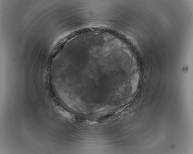 X0000090910920200708201738