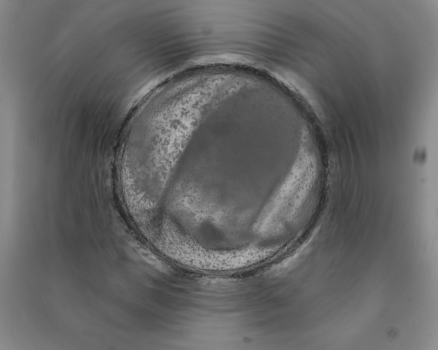 X0000090910921200708201738