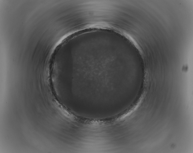 X0000090910923200708201738