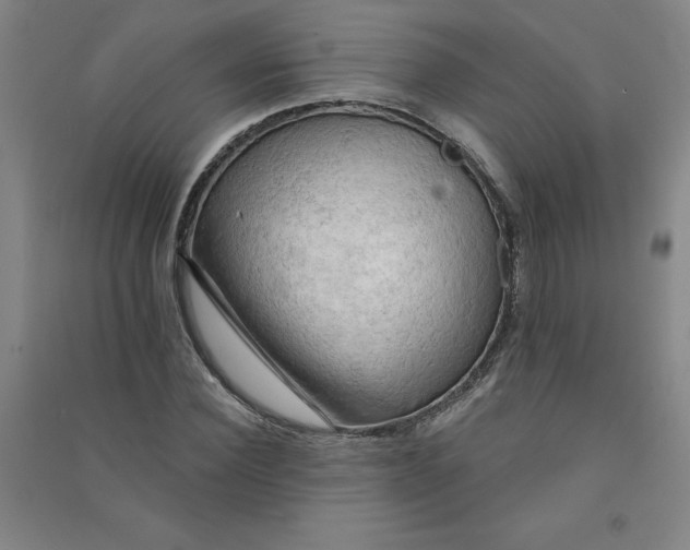 X0000090910924200708201738