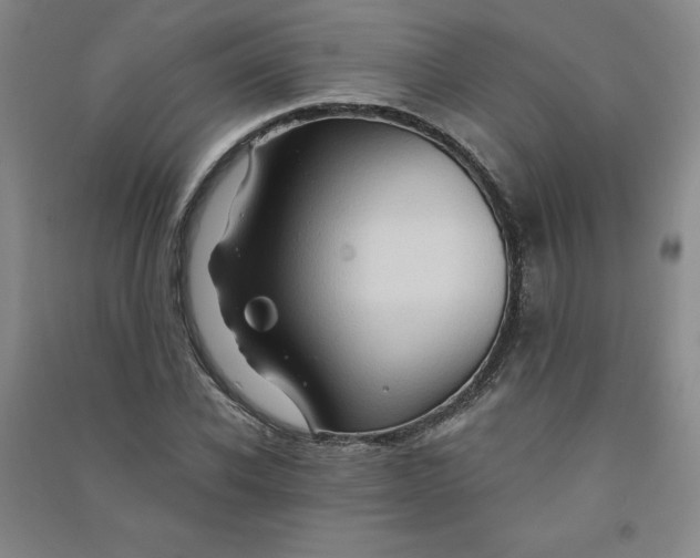 X0000090910926200708201738