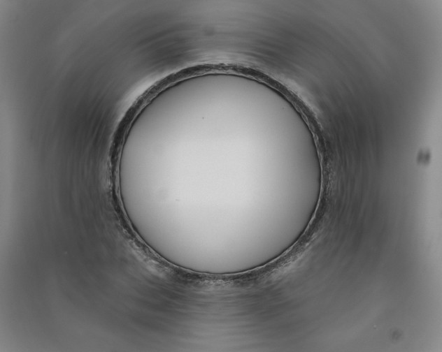 X0000090910927200708201738