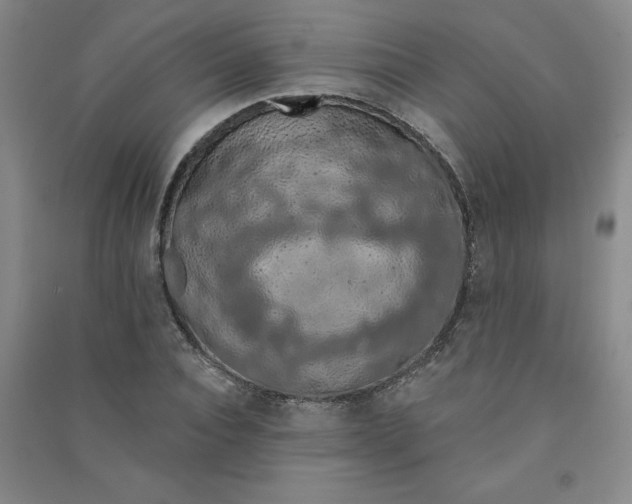 X0000090910928200708201738