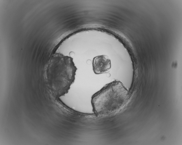 X0000090910929200708201738