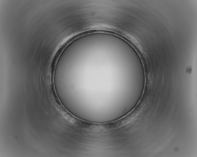 X0000090910931200708201738