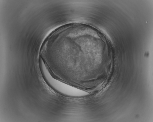 X0000090910932200708201738