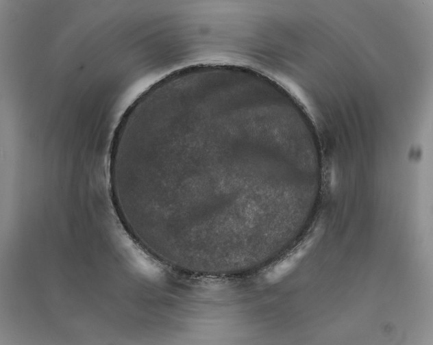 X0000090910935200708201738