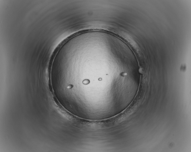 X0000090910936200708201738