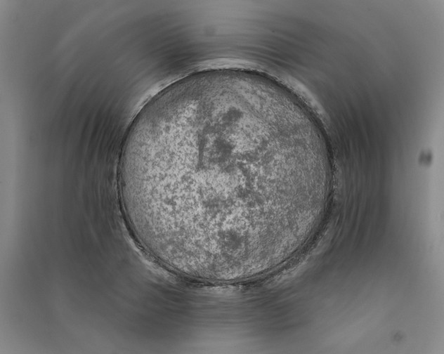 X0000090910937200708201738