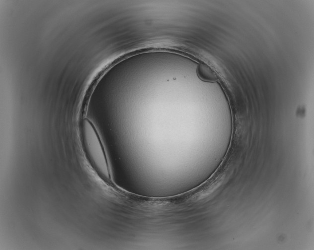 X0000090910939200708201738