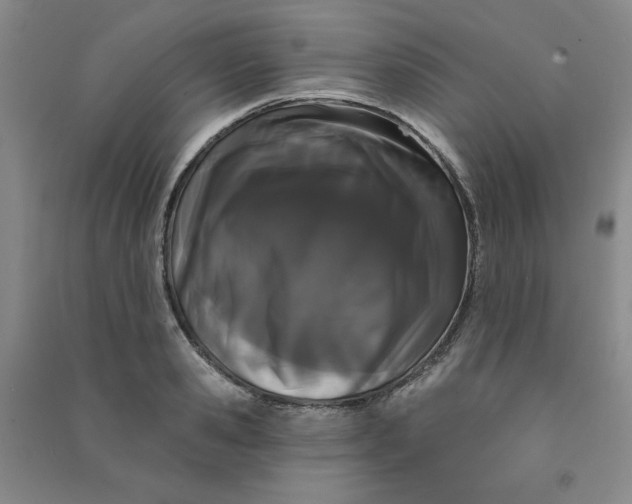 X0000090910941200708201738